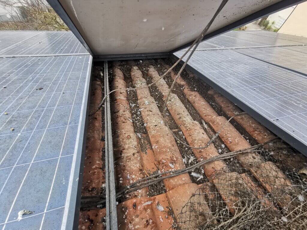 Su un tetto così sporco gli accessori per fotovoltaico indispensabili sono gli scovoli antipiccione.